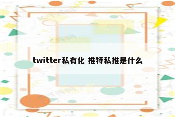 twitter私有化 推特私推是什么