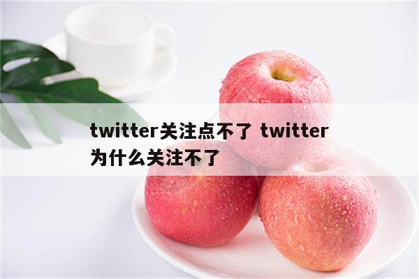 twitter关注点不了 twitter为什么关注不了