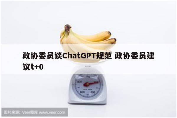 政协委员谈ChatGPT规范 政协委员建议t+0