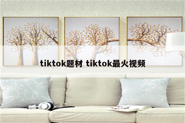 tiktok题材 tiktok最火视频