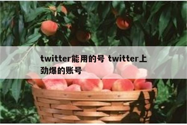 twitter能用的号 twitter上劲爆的账号