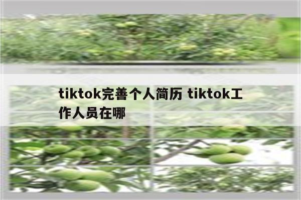 tiktok完善个人简历 tiktok工作人员在哪