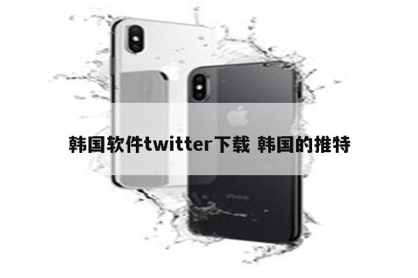 韩国软件twitter下载 韩国的推特