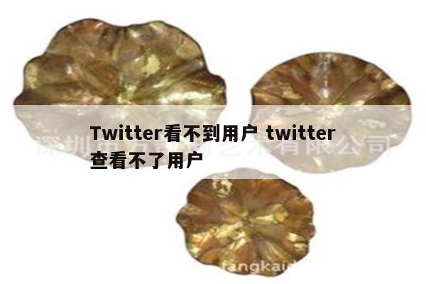 Twitter看不到用户 twitter查看不了用户