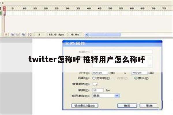 twitter怎称呼 推特用户怎么称呼