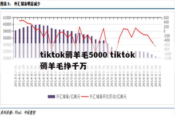 tiktok薅羊毛5000 tiktok薅羊毛挣千万