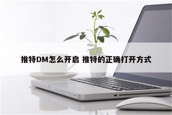 推特DM怎么开启 推特的正确打开方式