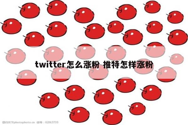 twitter怎么涨粉 推特怎样涨粉