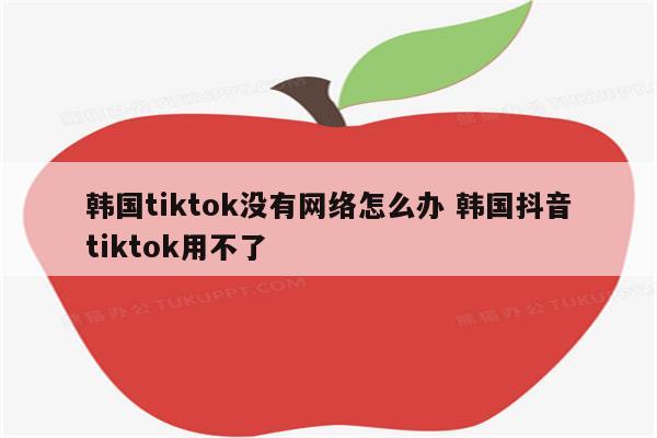 韩国tiktok没有网络怎么办 韩国抖音tiktok用不了