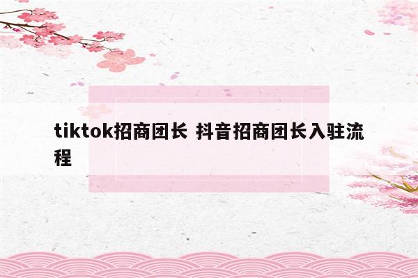 tiktok招商团长 抖音招商团长入驻流程