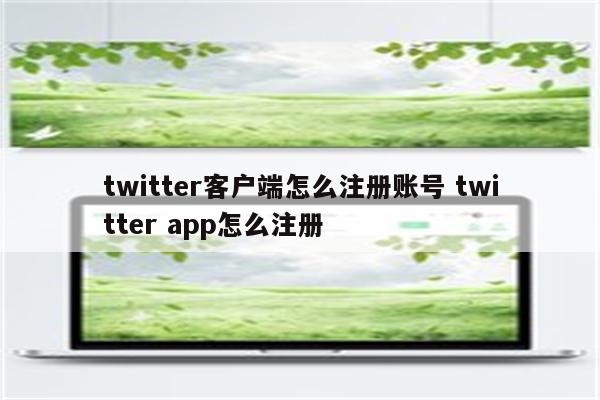 twitter客户端怎么注册账号 twitter app怎么注册