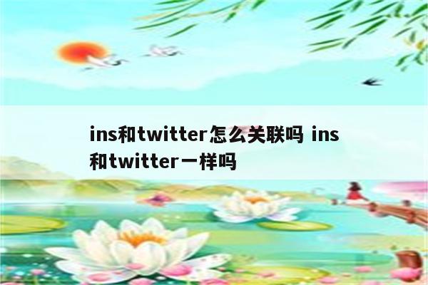 ins和twitter怎么关联吗 ins和twitter一样吗