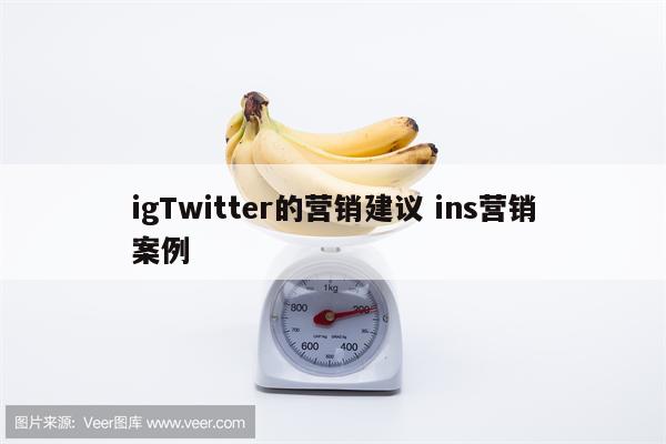 igTwitter的营销建议 ins营销案例