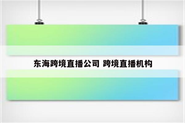 东海跨境直播公司 跨境直播机构