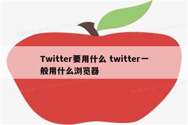 Twitter要用什么 twitter一般用什么浏览器