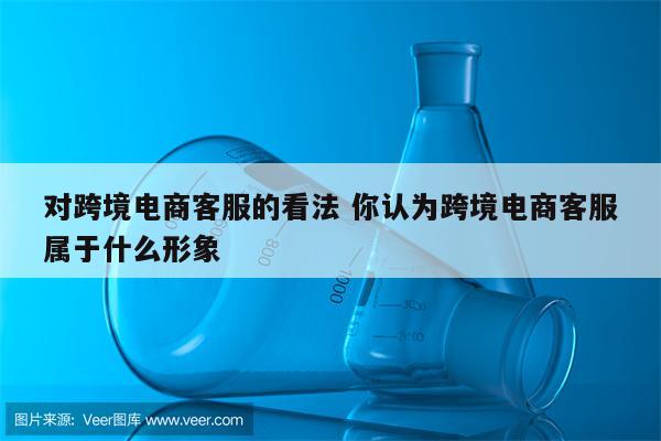 对跨境电商客服的看法 你认为跨境电商客服属于什么形象