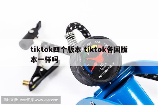 tiktok四个版本 tiktok各国版本一样吗