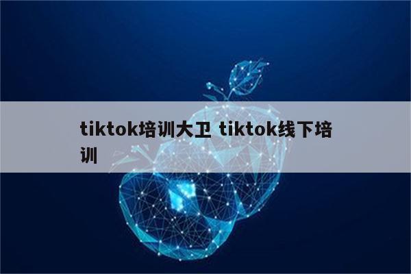 tiktok培训大卫 tiktok线下培训