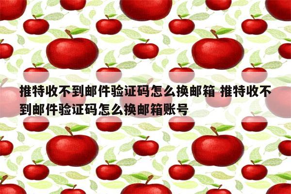 推特收不到邮件验证码怎么换邮箱 推特收不到邮件验证码怎么换邮箱账号