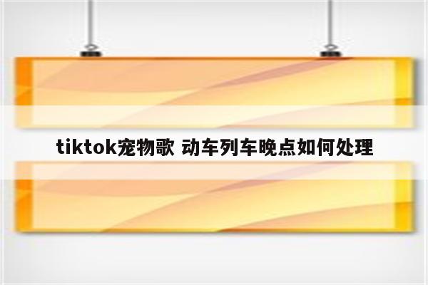 tiktok宠物歌 动车列车晚点如何处理