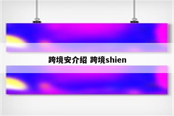 跨境安介绍 跨境shien