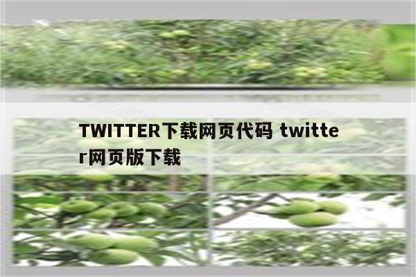 TWITTER下载网页代码 twitter网页版下载