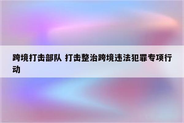 跨境打击部队 打击整治跨境违法犯罪专项行动