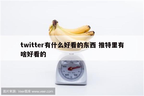 twitter有什么好看的东西 推特里有啥好看的