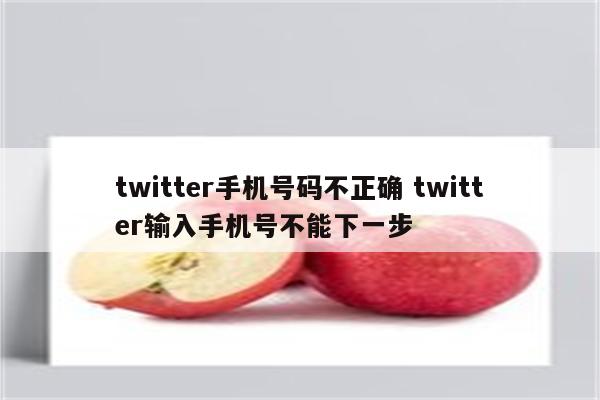 twitter手机号码不正确 twitter输入手机号不能下一步