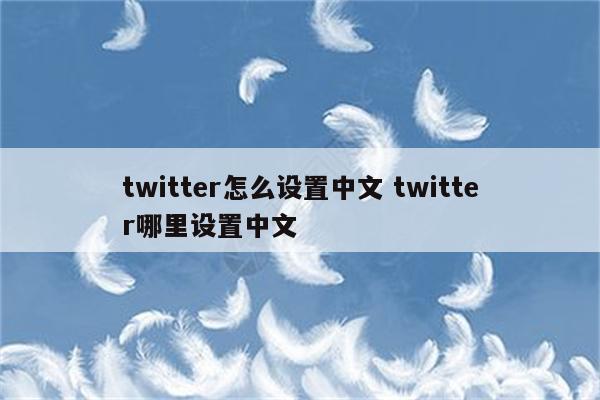 twitter怎么设置中文 twitter哪里设置中文