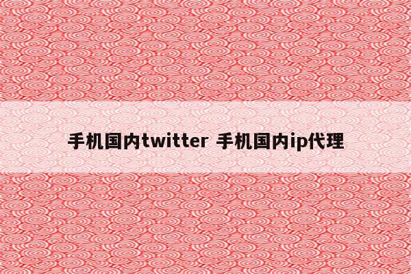 手机国内twitter 手机国内ip代理