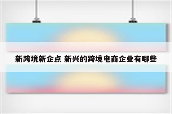 新跨境新企点 新兴的跨境电商企业有哪些