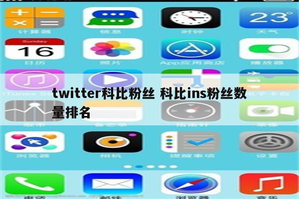 twitter科比粉丝 科比ins粉丝数量排名