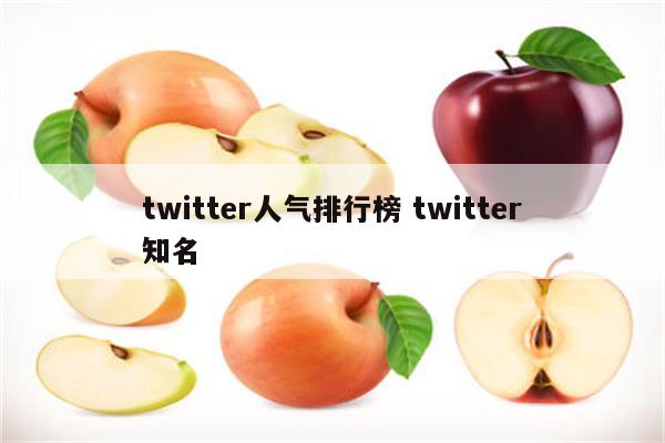 twitter人气排行榜 twitter知名