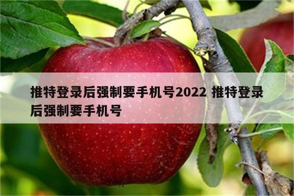 推特登录后强制要手机号2022 推特登录后强制要手机号