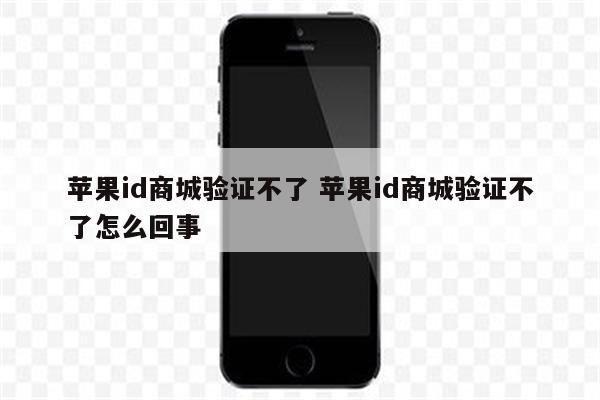 苹果id商城验证不了 苹果id商城验证不了怎么回事