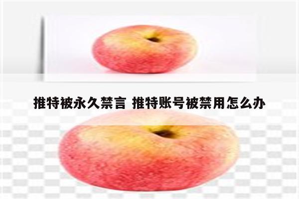 推特被永久禁言 推特账号被禁用怎么办