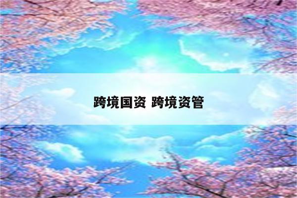 跨境国资 跨境资管