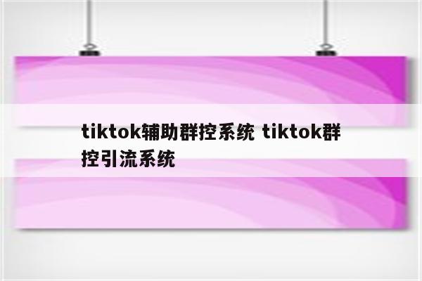 tiktok辅助群控系统 tiktok群控引流系统