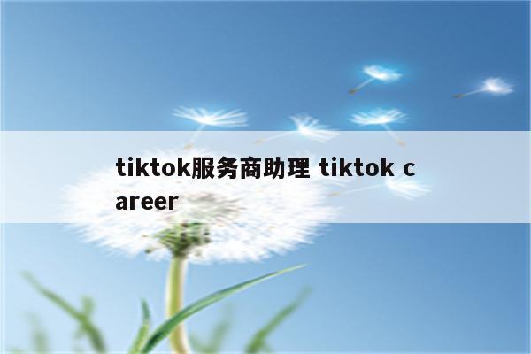 tiktok服务商助理 tiktok career