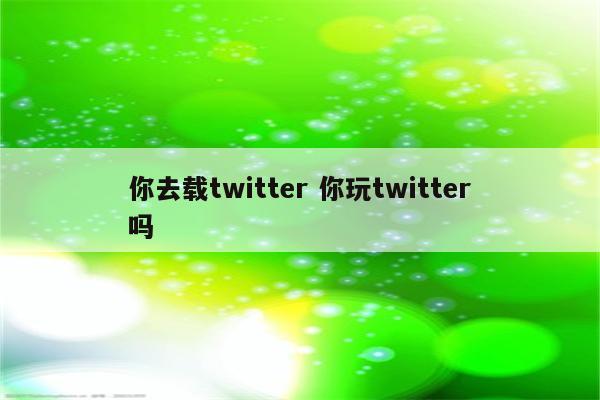 你去载twitter 你玩twitter吗