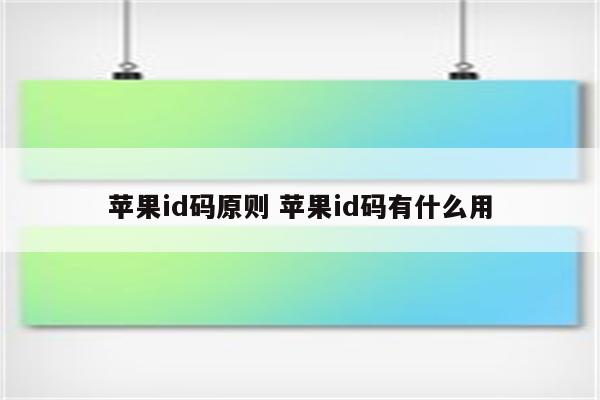 苹果id码原则 苹果id码有什么用