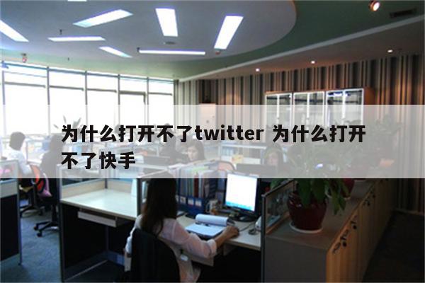 为什么打开不了twitter 为什么打开不了快手