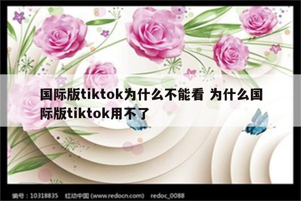 国际版tiktok为什么不能看 为什么国际版tiktok用不了