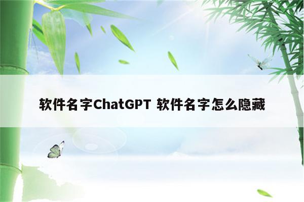 软件名字ChatGPT 软件名字怎么隐藏