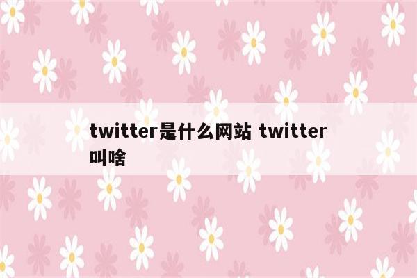 twitter是什么网站 twitter叫啥