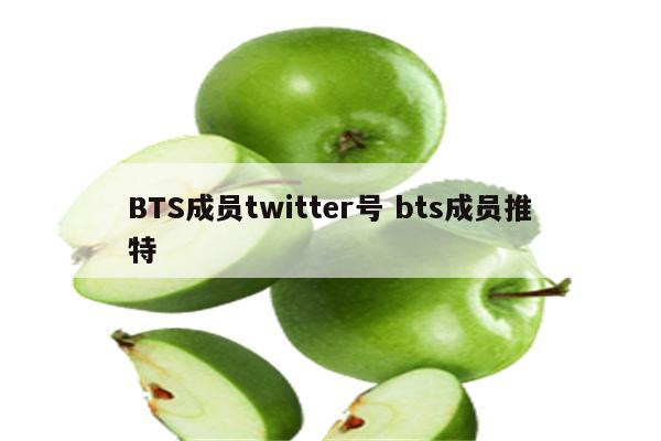 BTS成员twitter号 bts成员推特