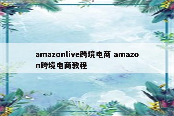 amazonlive跨境电商 amazon跨境电商教程