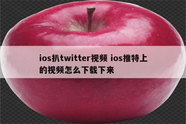 ios扒twitter视频 ios推特上的视频怎么下载下来