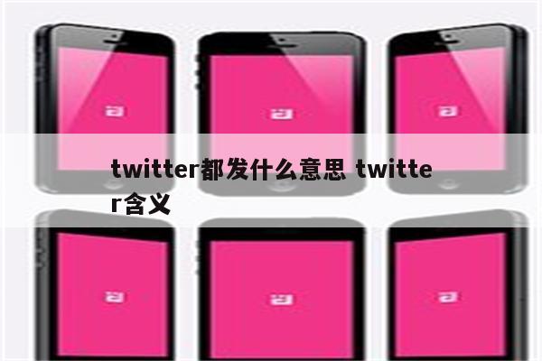 twitter都发什么意思 twitter含义